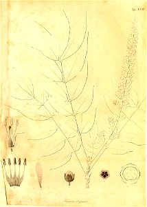 n354_w1150
