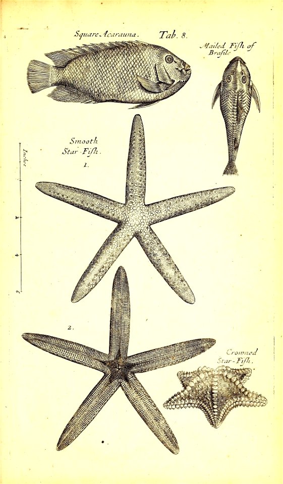 n474_w1150