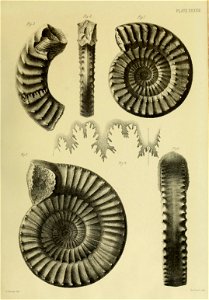 n164_w1150