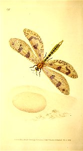 n163_w1150