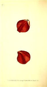 n259_w1150