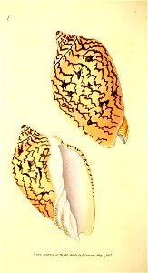 n45_w1150