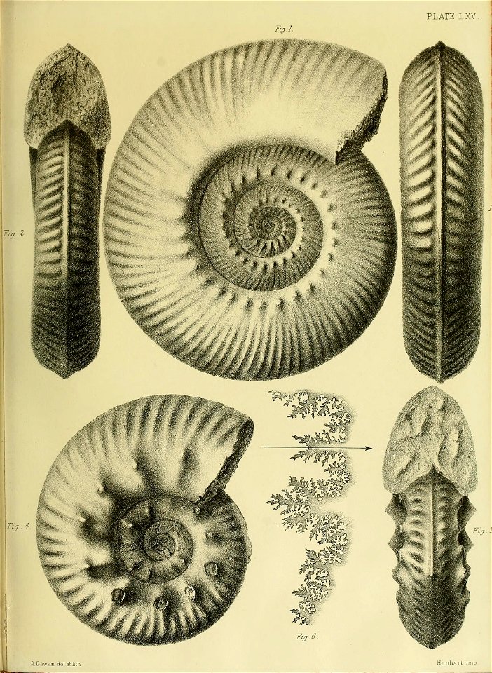 n276_w1150