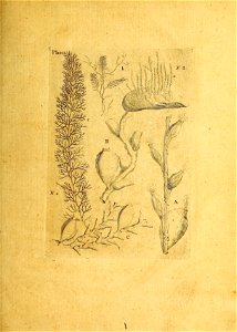 n154_w1150