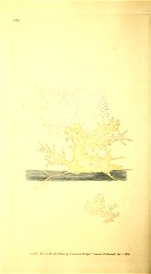 n159_w1150