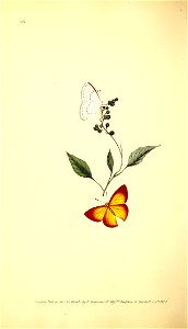 n111_w1150