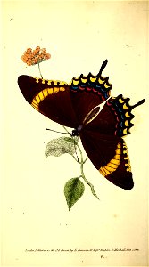n141_w1150