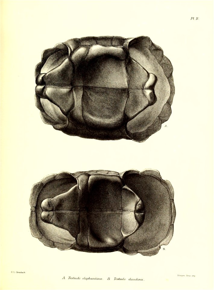 n116_w1150