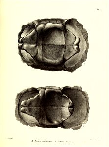 n116_w1150