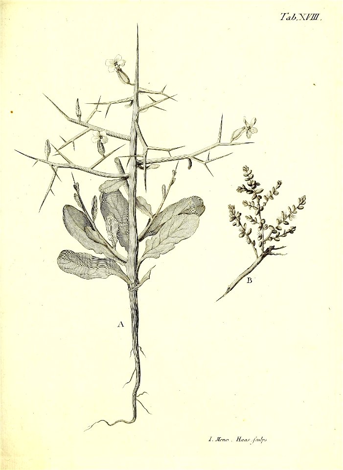 n106_w1150