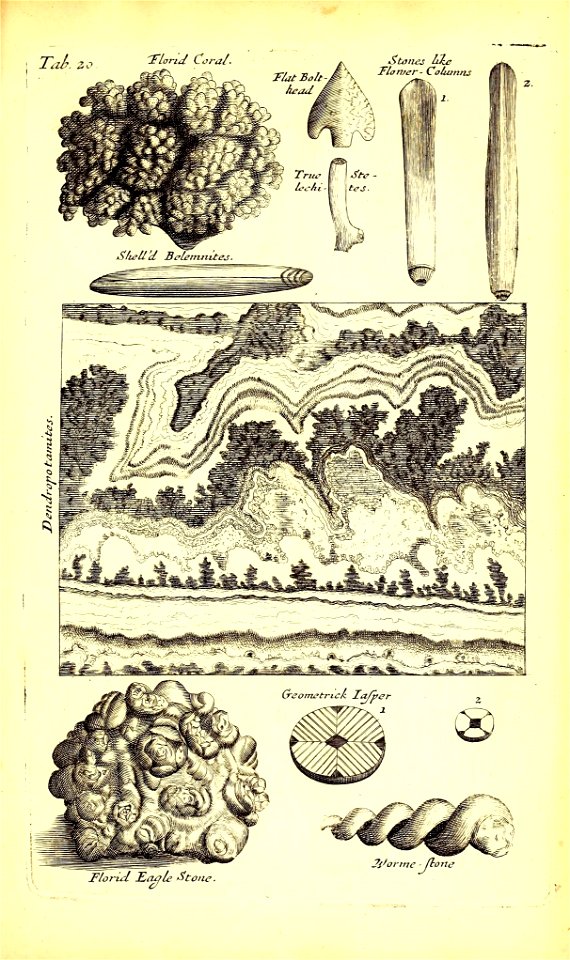 n498_w1150