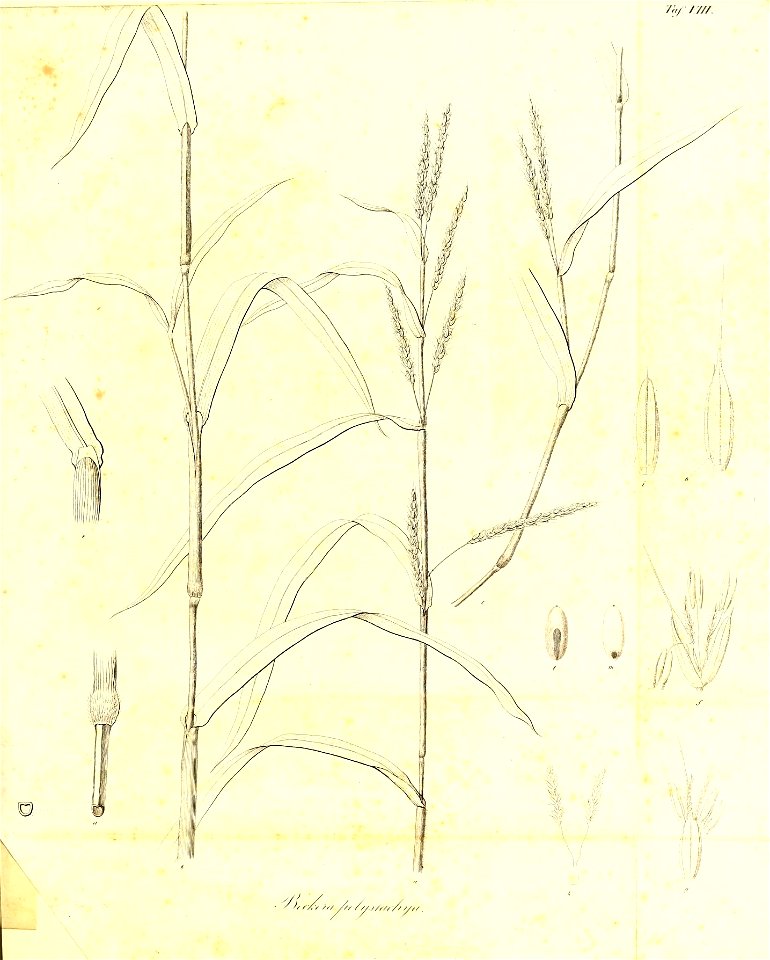 n348_w1150