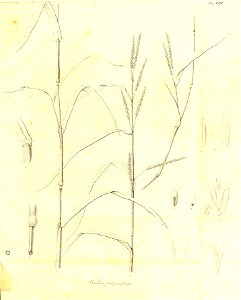 n348_w1150