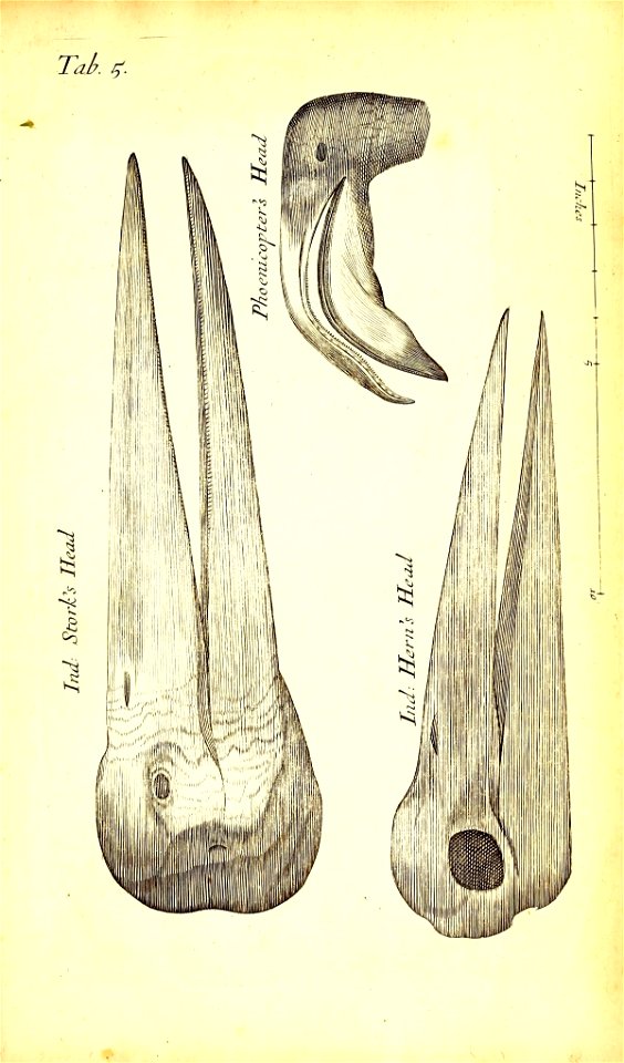 n468_w1150