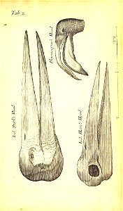 n468_w1150