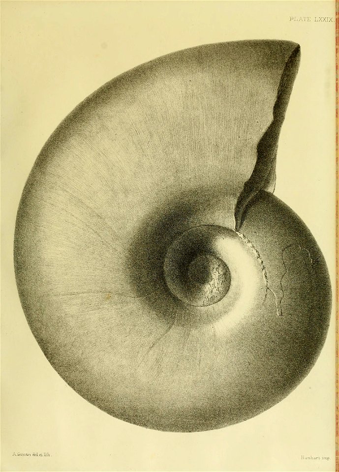 n332_w1150