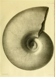 n332_w1150