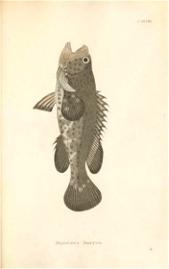 n392_w1150