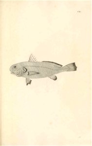 n362_w1150