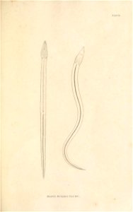n150_w1150