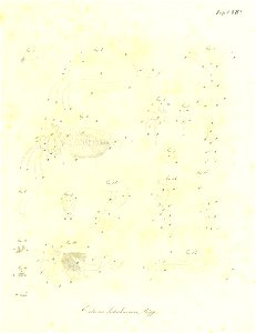 n346_w1150