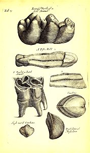 n496_w1150