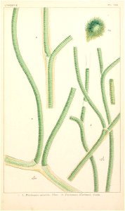 n214_w1150