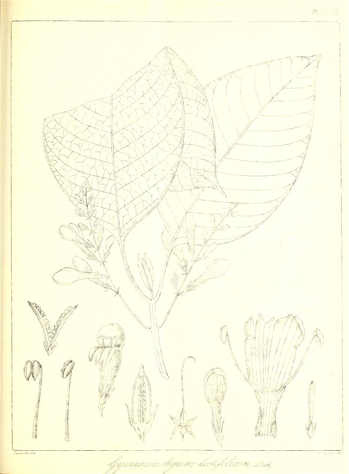 n578_w1150