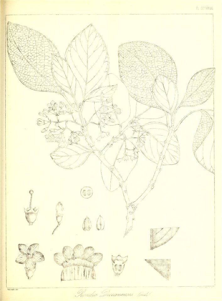 n542_w1150