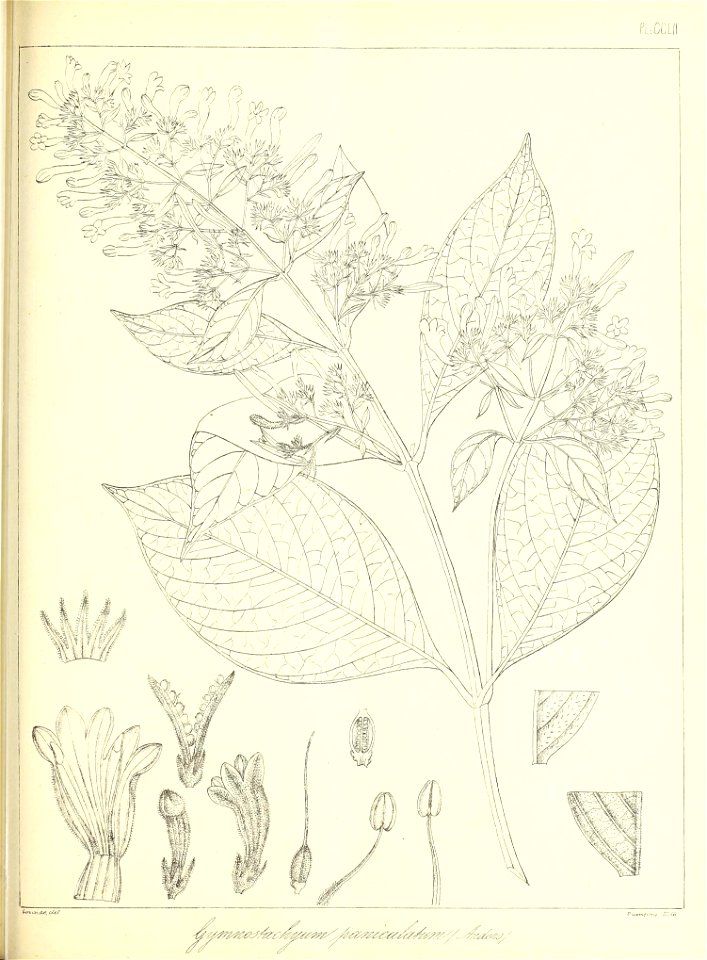 n576_w1150