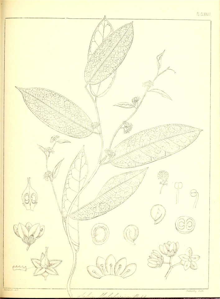 n404_w1150
