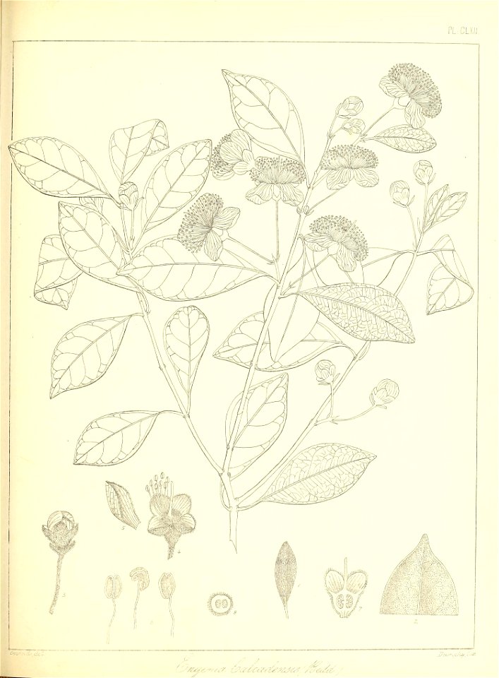 n374_w1150