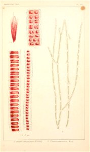 n240_w1150