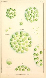 n58_w1150