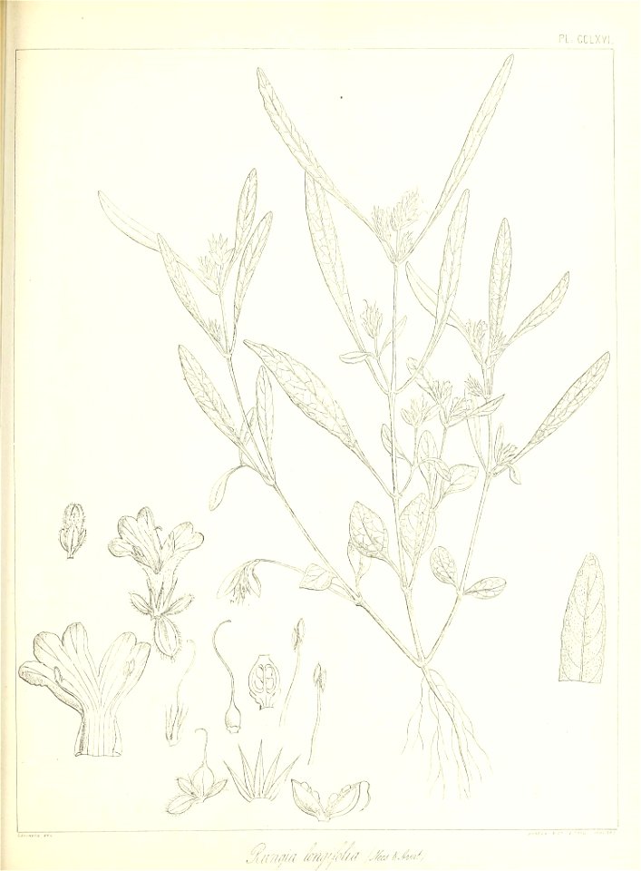 n608_w1150