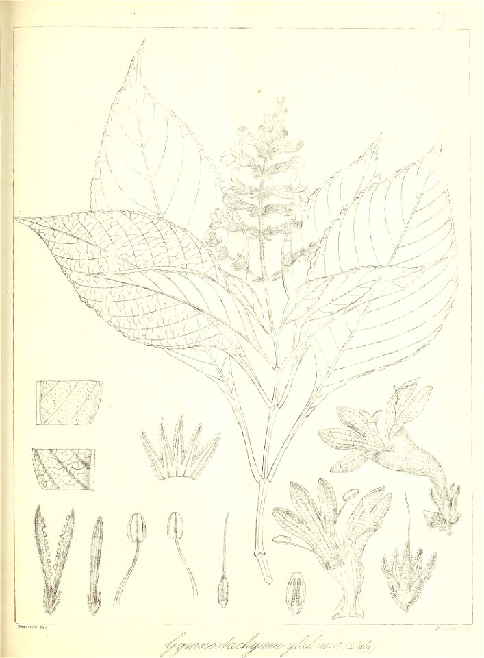 n574_w1150