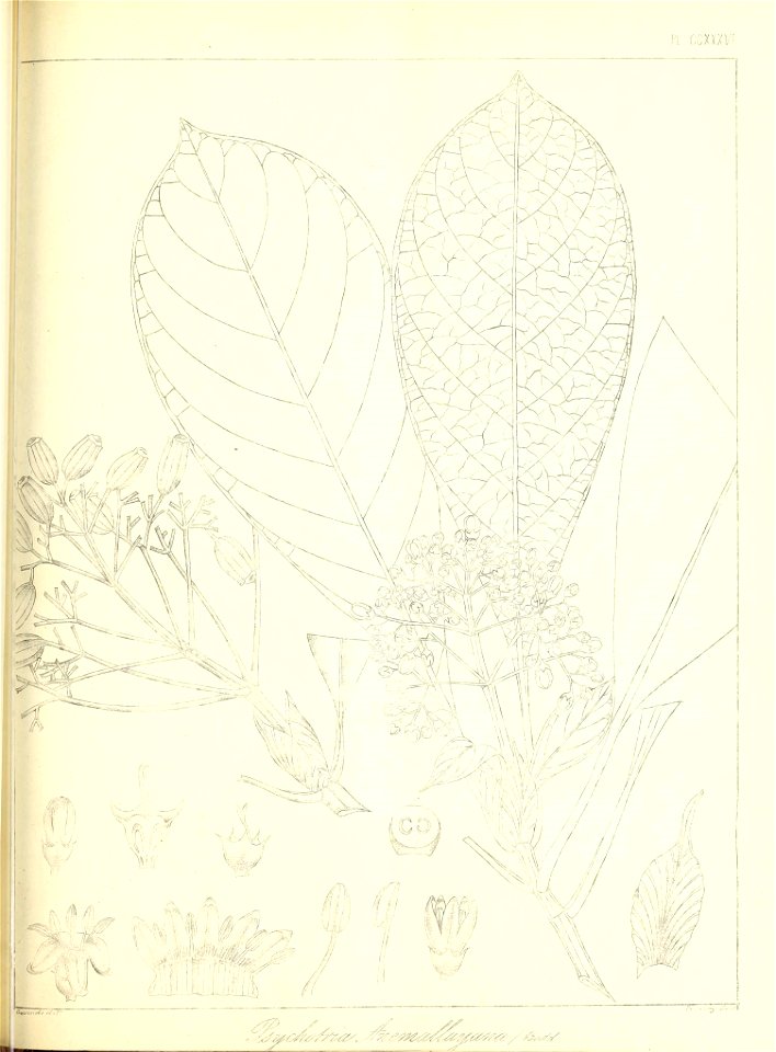 n540_w1150