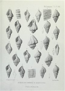 n286_w1150