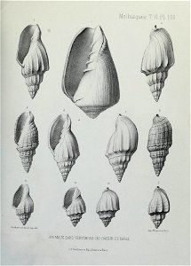 n316_w1150