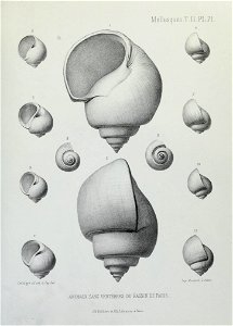 n256_w1150