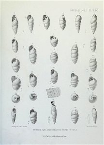n226_w1150
