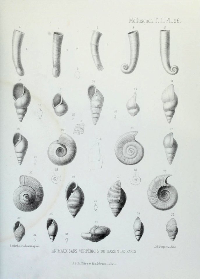 n166_w1150