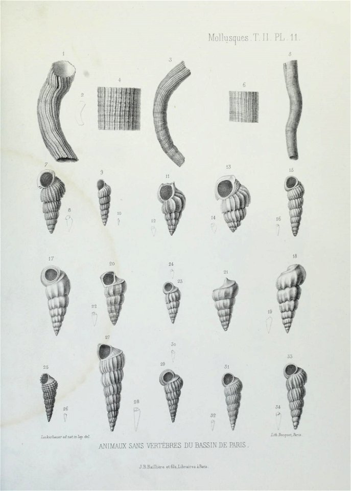 n136_w1150