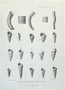 n136_w1150