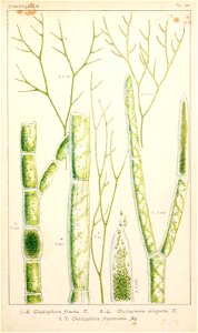 n116_w1150