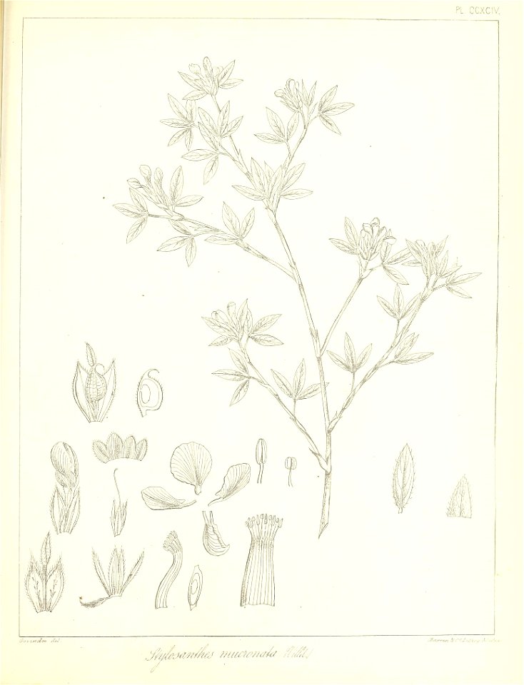n668_w1150