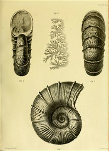 n304_w1150