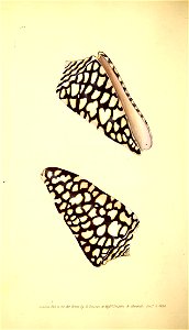 n137_w1150