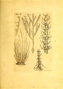 n168_w1150