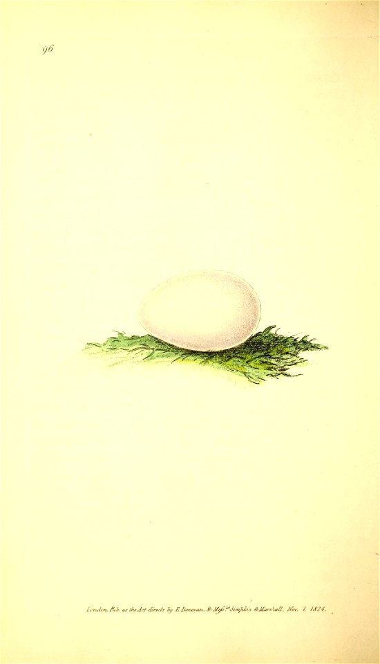 n125_w1150